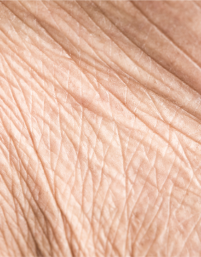 {"type":"root","children":[{"type":"paragraph","children":[{"type":"text","value":"anti-aging","bold":true}]}]}